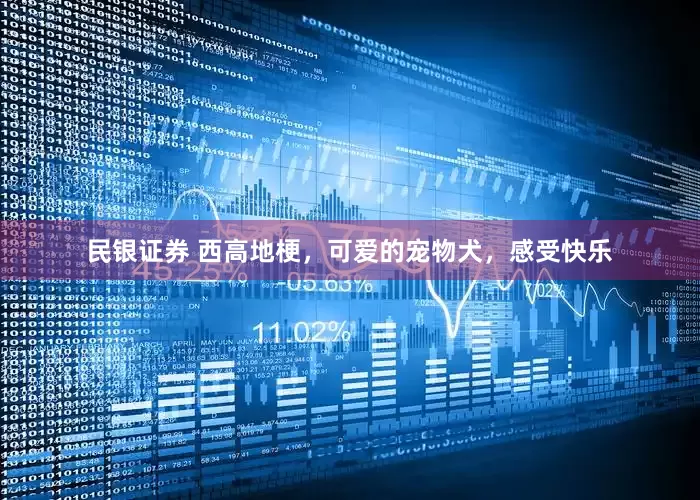 民银证券 西高地梗，可爱的宠物犬，感受快乐