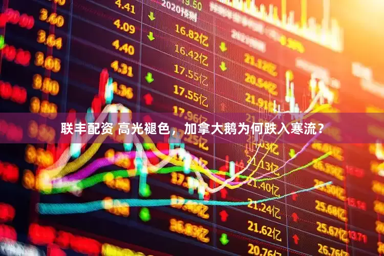 联丰配资 高光褪色，加拿大鹅为何跌入寒流？